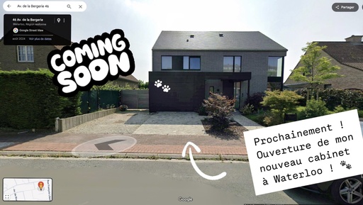 ⏳ Prochainement - Consultation à mon cabinet à Waterloo