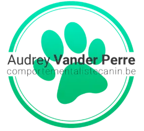 Dog's academy By Audrey